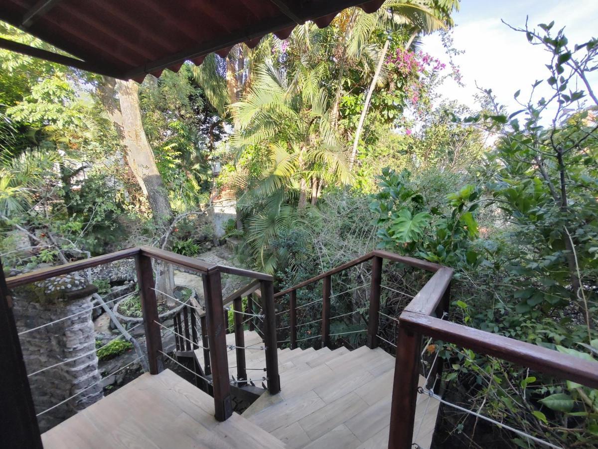 ホテル La Joyita Cuernavaca (Adults Only) エクステリア 写真